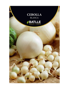 CEBOLLA SACO 25 KG 21-24