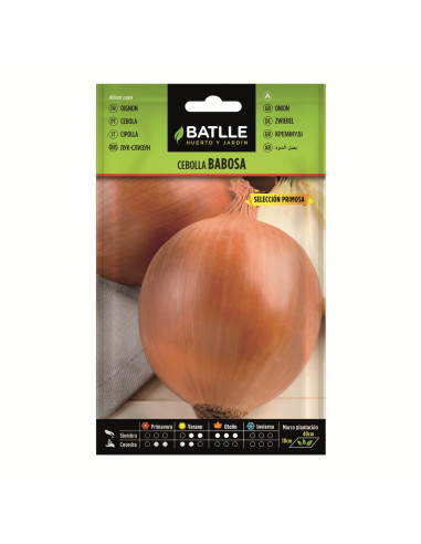 CEBOLLA BATLLE SOB. 11725 BABOSA