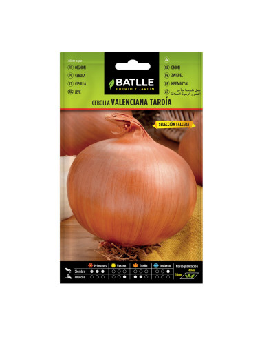 CEBOLLA BATLLE SOBRE 11709 VALENCIANA TARDIA...