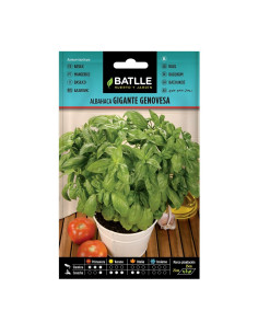 ALBAHACA BATLLE SOBRE 97318 GIGANTE GENOVESA