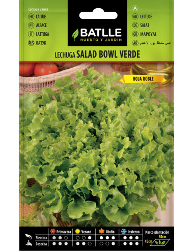 Batlle Semillas Lechuga Salad Bowl Verde 13851