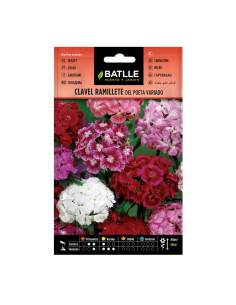 CLAVEL BATLLE SOBRE 92471 RAMILLETE DEL POETA VARIADO