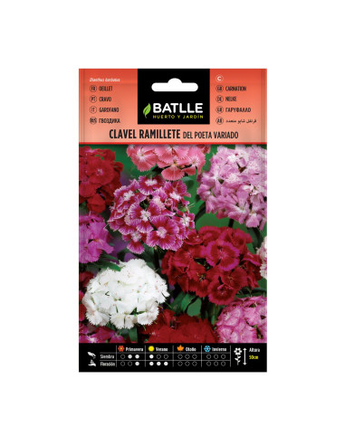 CLAVEL BATLLE SOBRE 92471 RAMILLETE DEL POETA...