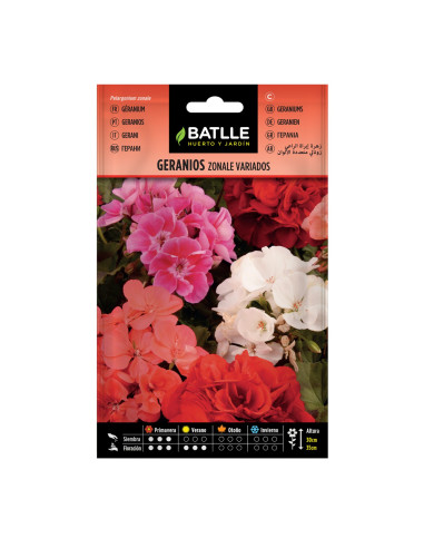GERANIO BATLLE SOB. 93901