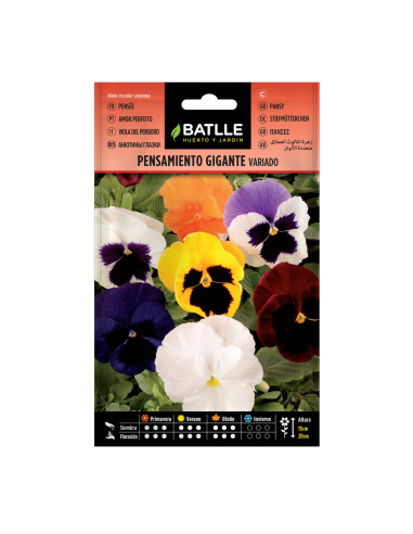 PENSAMIENTO BATLLE SOB. 95905 GTE. VA