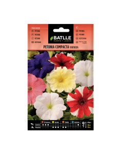 PETUNIA BATLLE SOBRE 96004 COMPACTA VARIADA