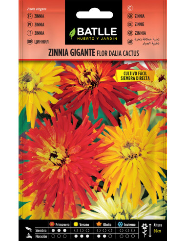 Batlle Semillas Zinnia Gigante Flor Dalia...