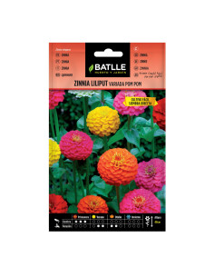 ZINNIA BATLLE SB. 97261 LILIPUT