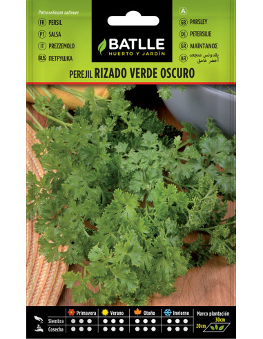 PEREJIL BATLLE SOBRE 14502 RIZADO VERDE OSCURO