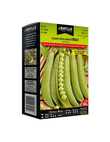 GUISANTE BATLLE PQT.100 UTRILLO-UTRILLO MEDIA RAMA
