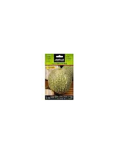 Batlle Semillas Calabaza Cabello de Ángel 11301