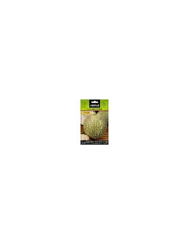 Batlle Semillas Calabaza Cabello de Ángel 11301