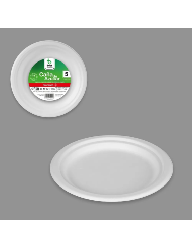 PLATO POSTRE CAMPING BEST PAQUETE  5 uds 17 cm...