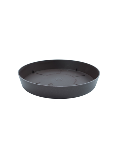Plato TES 17 cm 22 Bronce 2