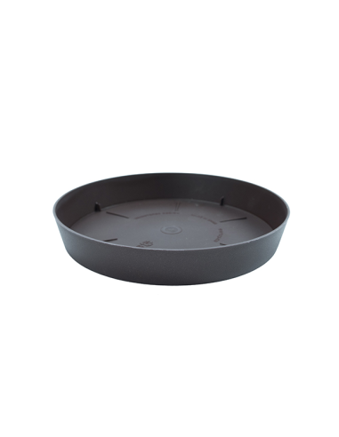 Plato TES 17 cm 22 Bronce