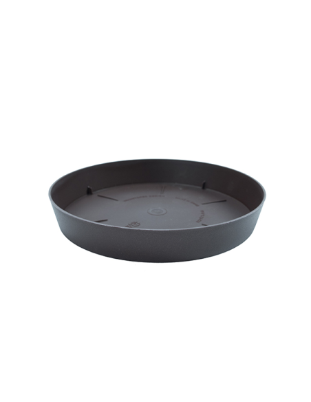 Plato TES 17 cm 22 Bronce
