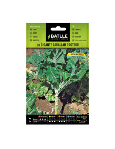COL BATLLE PQT. 100 12102 GTE. CABALL