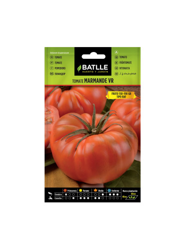 TOMATE BATLLE SOB. 15901 MARMANTE HOLAN. RAF