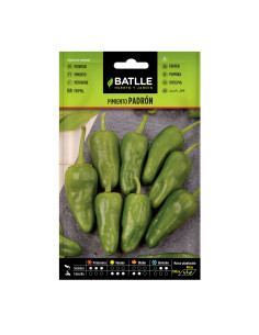 PIMIENTO BATLLE SOB. 14707 PADRON