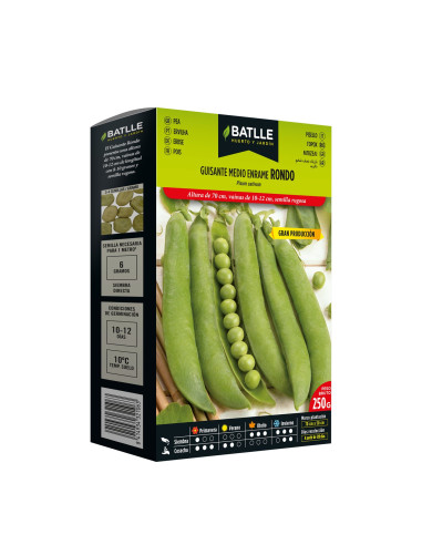 GUISANTE PQT. 250 RONDO MEDIO