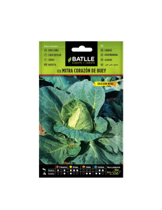 COL BATLLE SOB. 11911 COR. BUEY MITRA