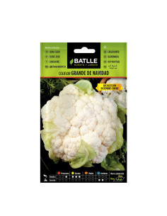 COLIFLOR BATLLE SOBRE 12302 GRANDE NAVIDAD
