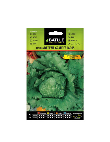 LECHUGA BATLLE SOBRE 13713 GRANDES LAGOS