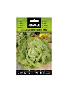 LECHUGA BATLLE SOBRE 13722 REINA MAYO