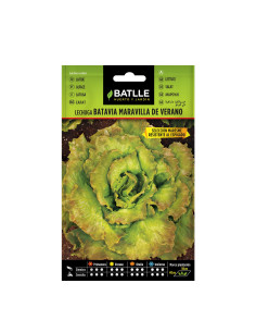 LECHUGA BATLLE SOB. 13712 MARAV. VERA