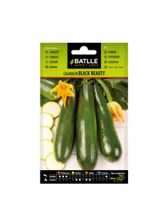 CALABACIN BATLLE SOB. 11101 BLACK BE