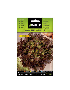 LECHUGA BATLLE SOB. 13850 H. ROBLE ROJA