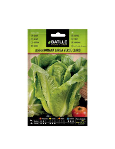 LECHUGA BATLLE SOBRE 13701 ROMANA LARGA VERDE
