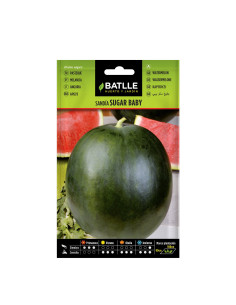 SANDIA BATLLE SOB. 15702 SUGAR BABY