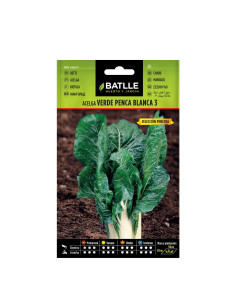 ACELGA BATLLE SOB. 10102 VERDE BLANC