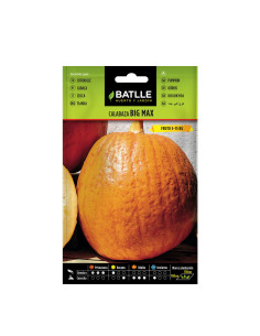 CALABAZA BATLLE BOLSA  11311 BIG MAX