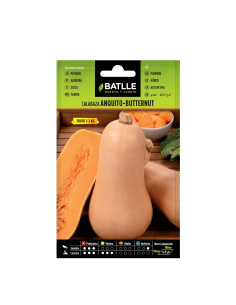 CALABAZA BATLLE BOLSA  11105 BUTTERNUT ANQUITO