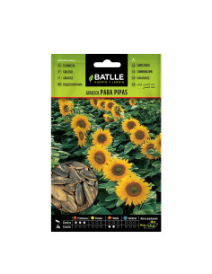 GIRASOL BATLLE SOB. 97337 PIPAS H. A.