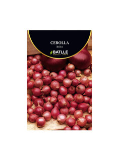 CEBOLLA BOLSA  500 21-24 ROJA