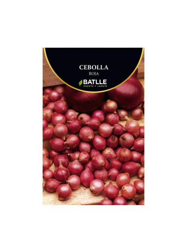 CEBOLLA BOLSA  500 21-24 ROJA