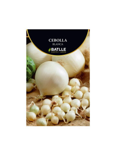CEBOLLA BOLSA  500 21-24