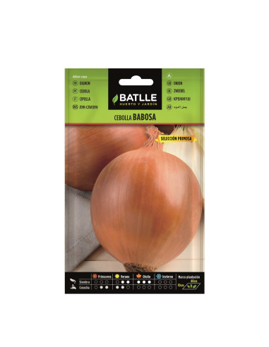 CEBOLLA BATLLE SOB. 11725 BABOSA