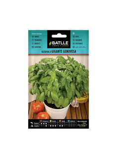 ALBAHACA BATLLE SOB. 97318 GIG. GENOVESA