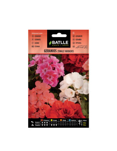 GERANIO BATLLE SOB. 93901