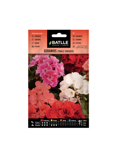 GERANIO BATLLE SOB. 93901