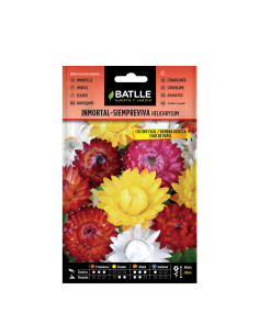 INMORTAL BATLLE SOBRE 96601 SIEMPRE VIVA FLOR DE PAPEL