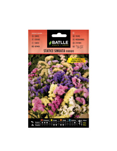 STATICE BATLLE SOBRE 96702 SINUATA VARIADO