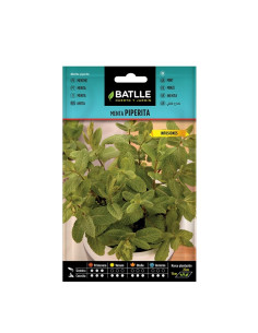 MENTA BATLLE SOB. 97305 AROMAT.