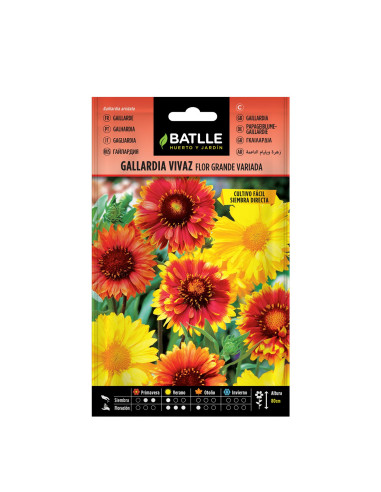 GALLARDIA BATLLE SOB. 93802 VIVAZ
