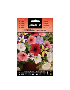 PETUNIA BATLLE SOB. 96007 PENDULA
