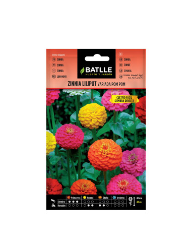 ZINNIA BATLLE SB. 97261 LILIPUT